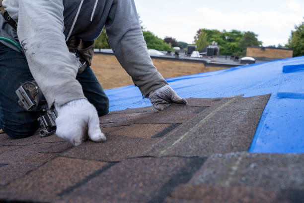 Best Residential Roof Replacement  in Evart, MI