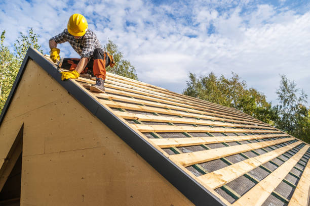 Roof Gutter Cleaning in Evart, MI