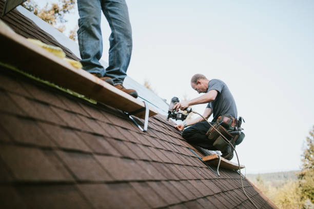 Best Roof Gutter Cleaning  in Evart, MI